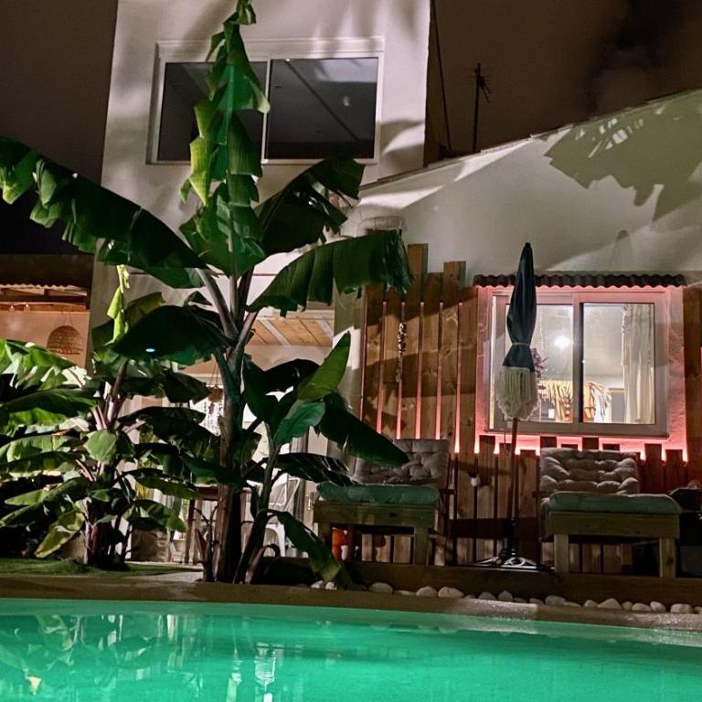 Tropical Lodge SPA Narbonne - Casa con 1 Camera da Letto - 22