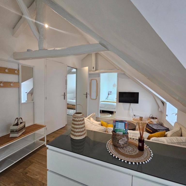 Santorin, Appartement lumineux au coeur de Vannes - Appartamento con 2 Camere da Letto - 19