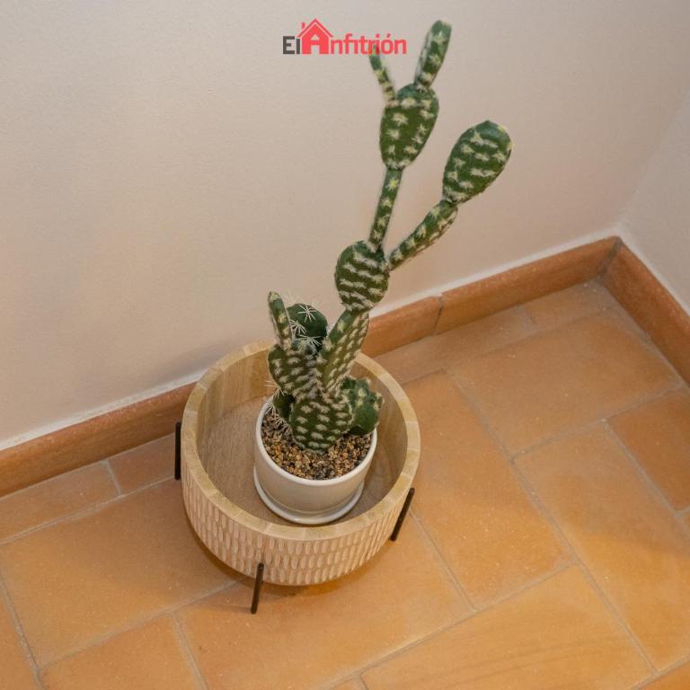 El Anfitrión - Palacio XVIII - Apartamento de 2 dormitorios - 46