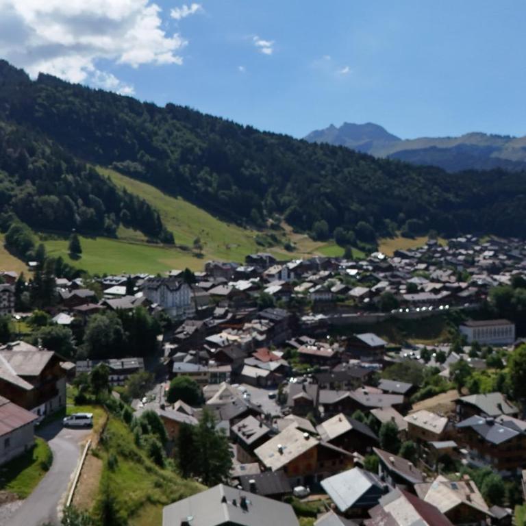 Alisier - Morzine - secteur Planet - Appartement avec Vue sur la Montagne - 9