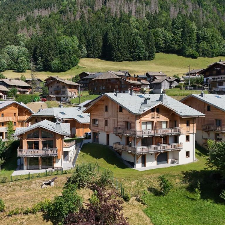 Alisier - Morzine - secteur Planet - Appartement avec Vue sur la Montagne - 23