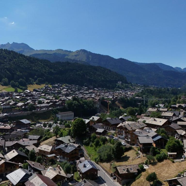 Alisier - Morzine - secteur Planet - Appartement avec Vue sur la Montagne - 24