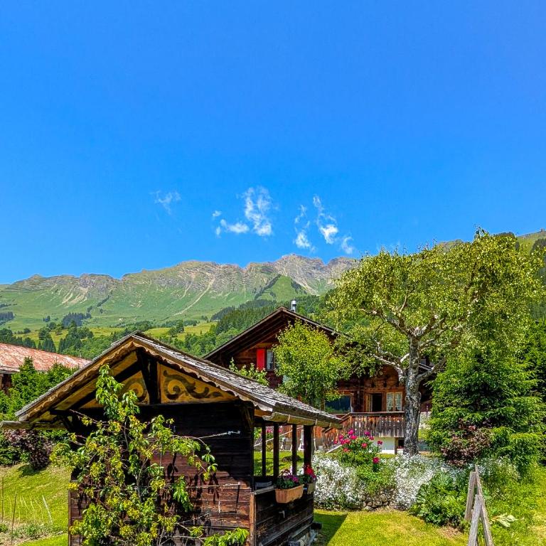 Grand chalet familial avec cheminée aux Diablerets - Chalet - 55