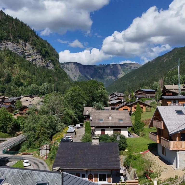 Alisier - Morzine - secteur Planet - Appartement avec Vue sur la Montagne - 25