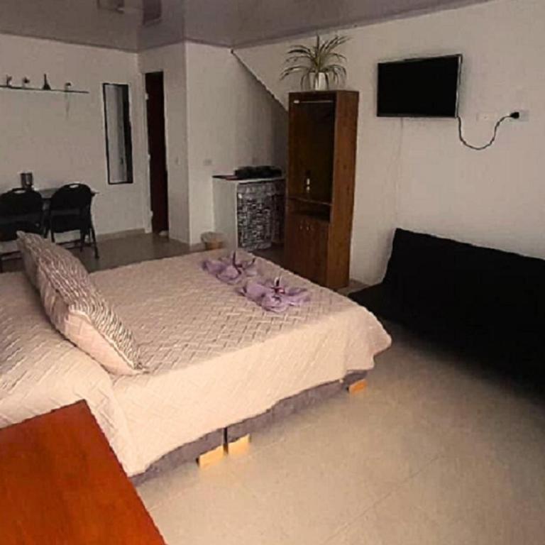 Mi Rincón Feliz - One-Bedroom Apartment - 4