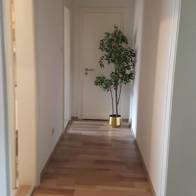 Wohnung am Hauptmarkt! - Appartamento con 1 Camera da Letto - 2