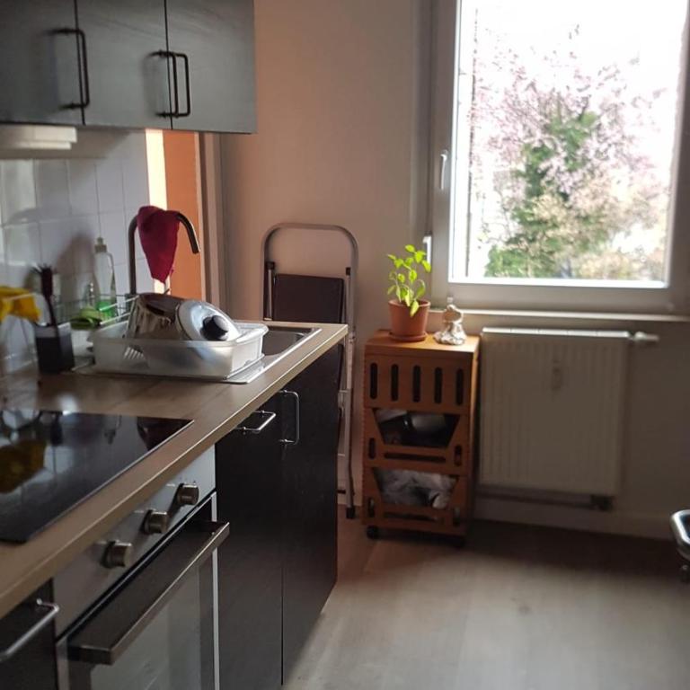 Wohnung am Hauptmarkt! - Appartamento con 1 Camera da Letto - 6