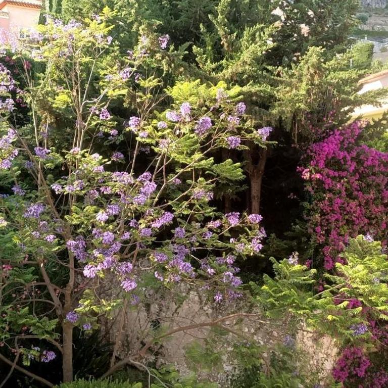 La plus belle vue de Villefranche - Appartement 2 Chambres - 13