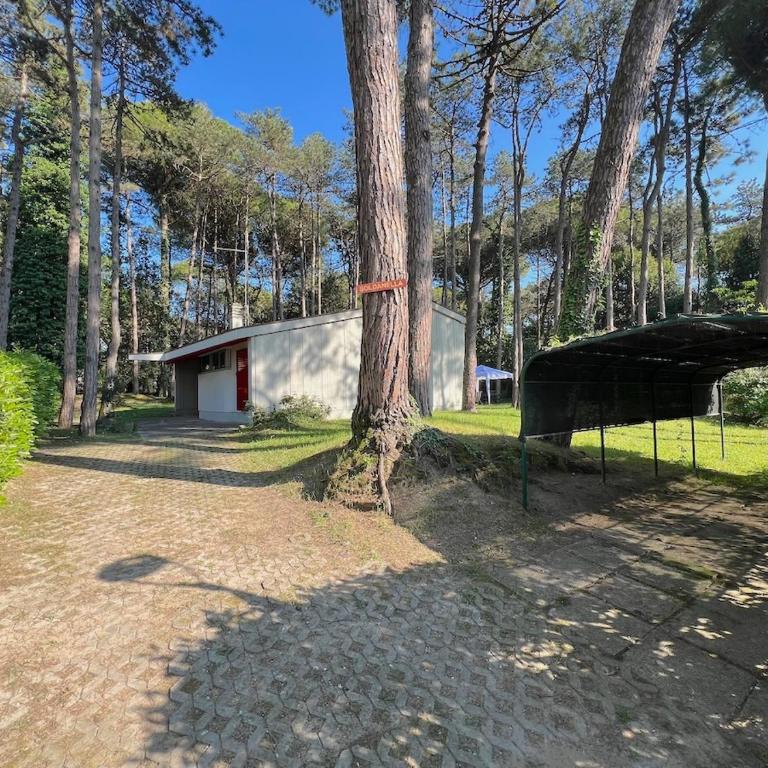 Villa Soldanella - Casa con 3 Camere da Letto - 13