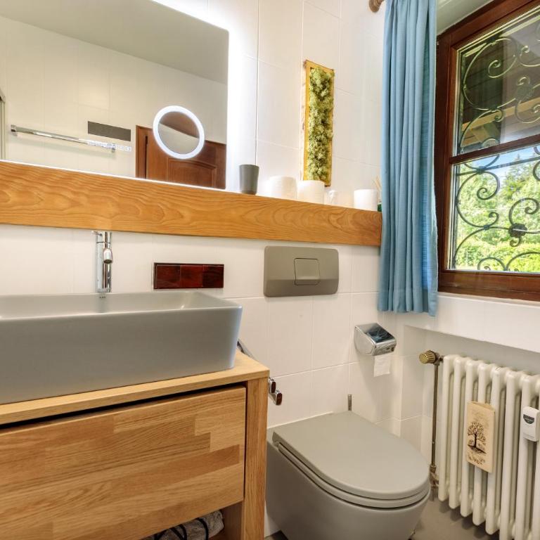 Alpspitzstubn - Ihr Wohlfühlort mit Bergpanorama - Apartment mit Balkon - 23