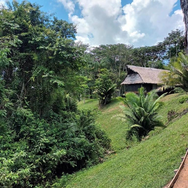 Flower of Life Ayahuasca Healing Center - One-Bedroom Apartment - 15
