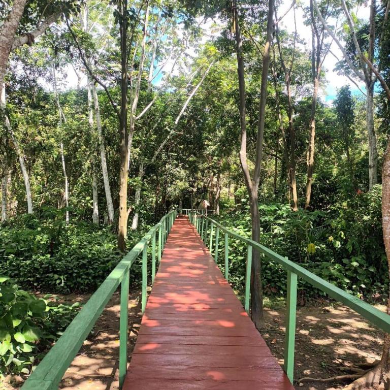 Flower of Life Ayahuasca Healing Center - One-Bedroom Apartment - 16
