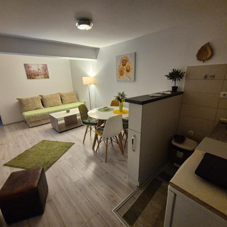 Apartment Capital Town NS - Apartman sa 1 Spavaćom Sobom - 9