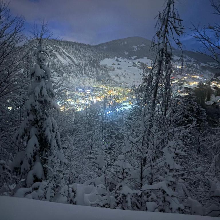 Les Lucioles - Studio - Vue sur Montagne - 24