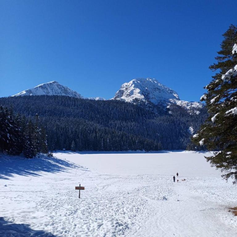 Bella Vista - Two-Bedroom House - 35