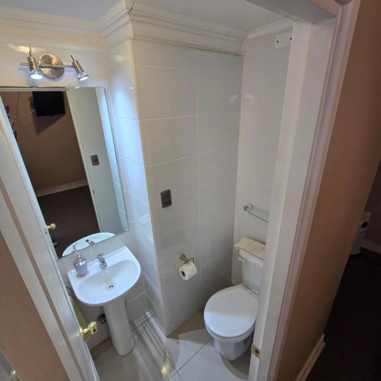 Belle Epoque Hostal - Deluxe Double Room - 3