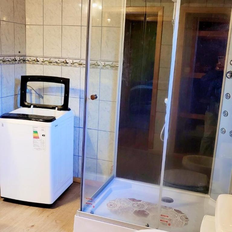 Cabañas y tinajas Rucahue Hornopirén - Casa de 3 dormitorios - 15