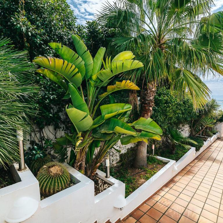Beachfront Villa - Villa - 2