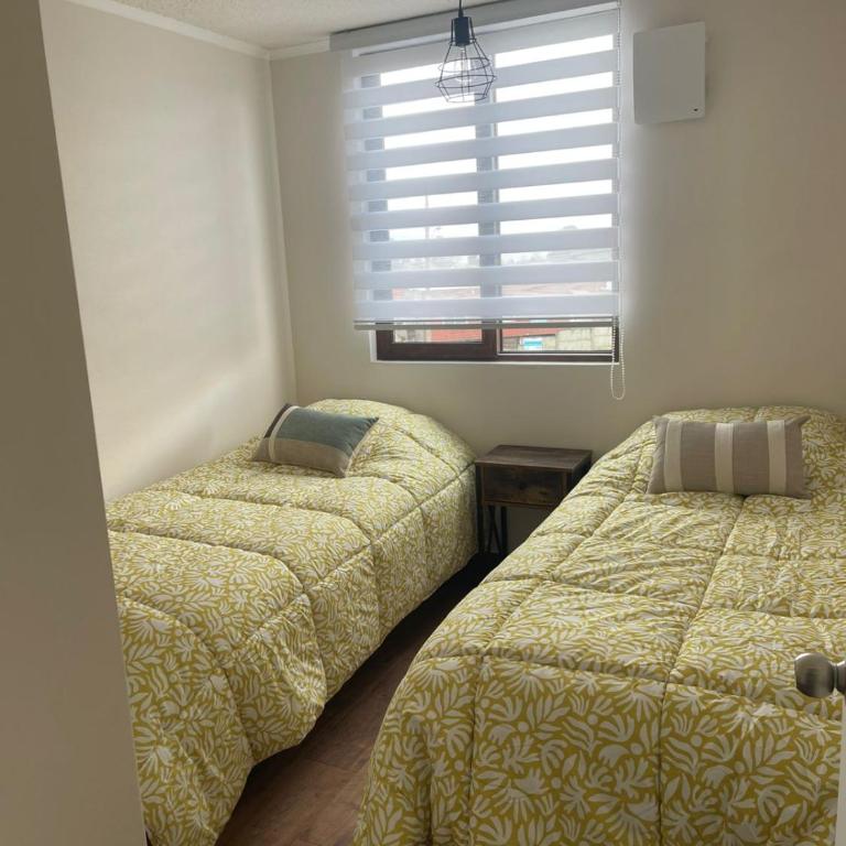 Departamento Llanquihue Lago - Three-Bedroom Apartment - 17