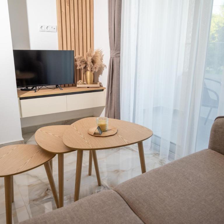 Robi Apartments - One-Bedroom Apartment with Garden View - 3