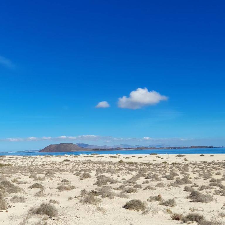 Oasis Dunas Raices del Mar Paraíso Único - Apartamento Deluxe de 1 dormitorio con vistas al jardín - 42