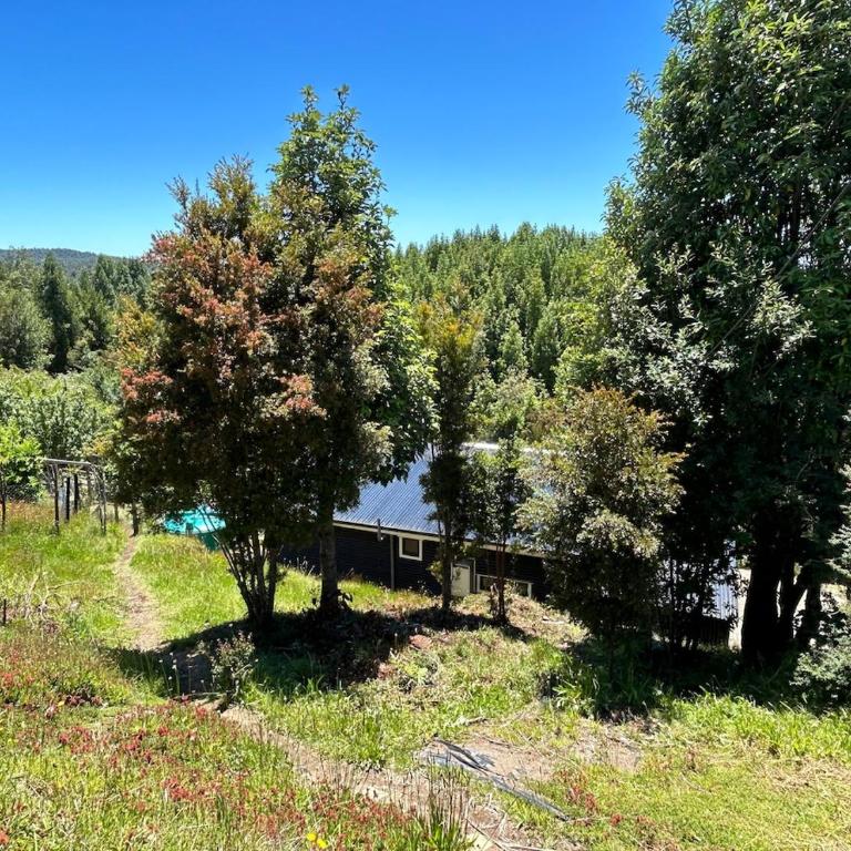 Cabaña Azul - La Herradura - Two-Bedroom Chalet - 10