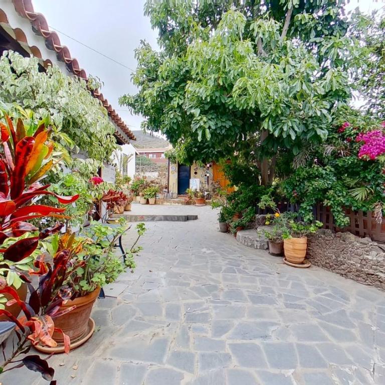 Finca Paraiso Casa Rural Tenerife Ecoturismo - Casa con 1 dormitorio - 5