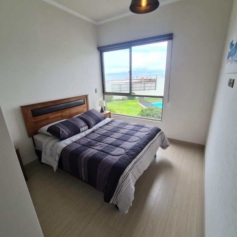 Insuperable ubicación y acceso - Apartment - 6