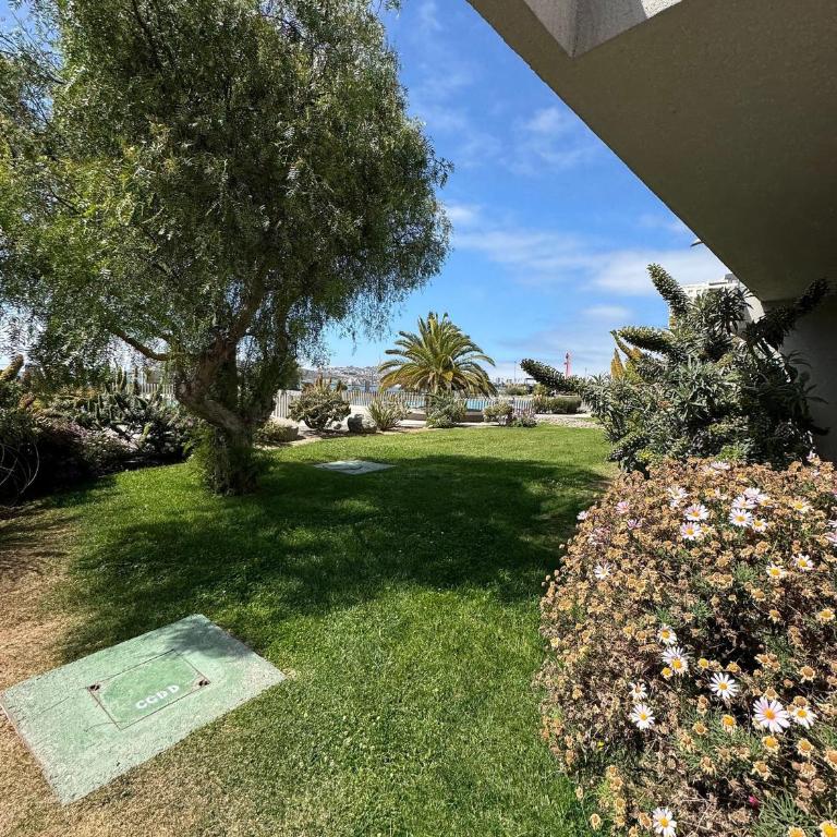 Vacaciones junto al mar - Apartment - 31