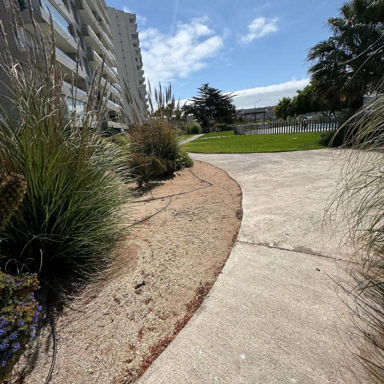 Vacaciones junto al mar - Apartment - 33