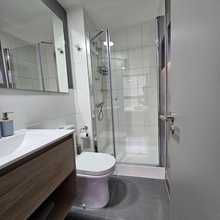 Departamento en pleno Centro de Santiago minutos de Movistar Arenas, La Moneda, Plaza de Armas - One-Bedroom Apartment - 14