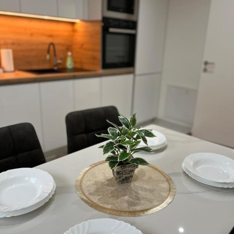 Luxe Urban Apartments Ilidza - Apartman sa 3 Spavaće Sobe - 1