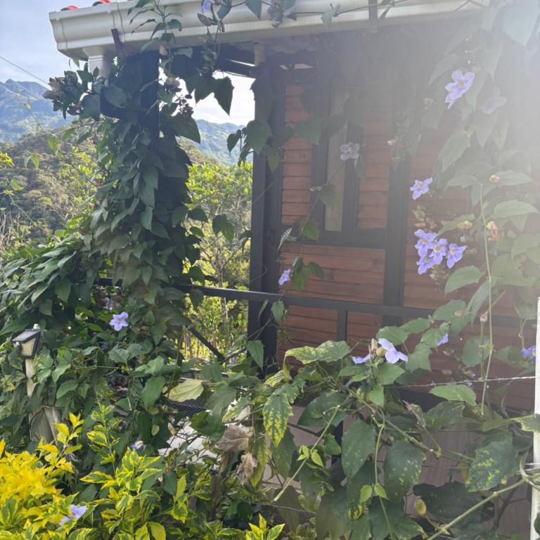 Cabaña Montecielo San Rafael - Casa con 1 dormitorio - 26