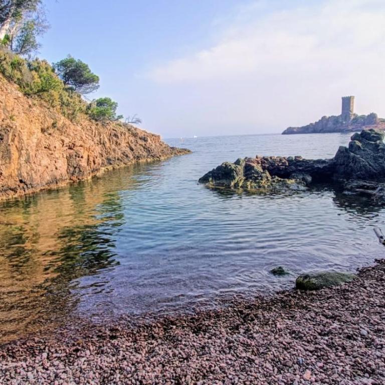 Superbe villa contemporaine à Saint-Raphaël à 200 m de la mer - Villa mit privatem Pool - 24