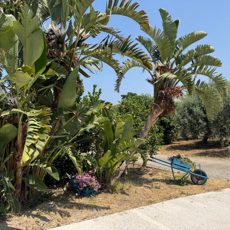 Le Casette di Campagna - Villa con 2 Camere da Letto - 36