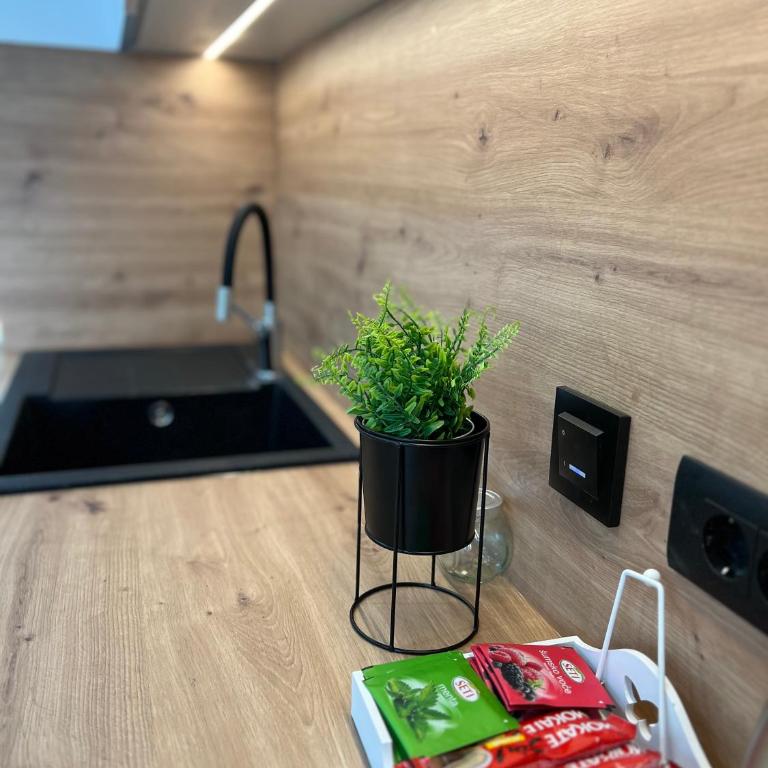 Luxe Urban Apartments Ilidza - Apartman sa 3 Spavaće Sobe i Balkonom - 9