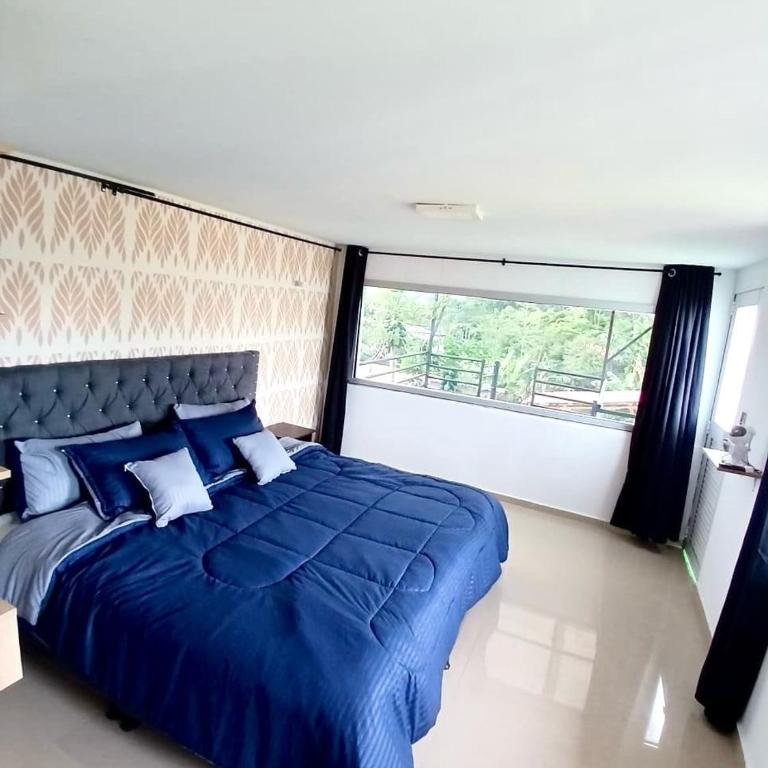 Cine bajo las estrellas - One-Bedroom House - 12