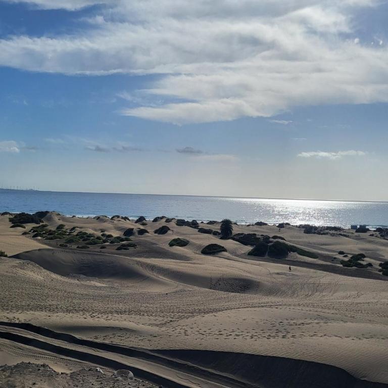 Bungalow in Maspalomas near Playa del Inglés - Bungalow de 3 dormitorios - 46