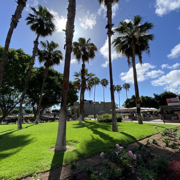 Apartment on Playa de Las Canteras Beach - Casa Vacanze - 24