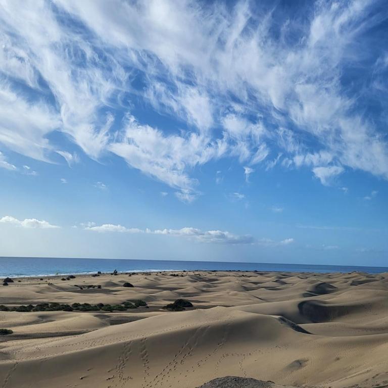 Bungalow in Maspalomas near Playa del Inglés - Bungalow de 3 dormitorios - 51