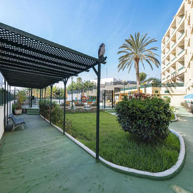 Apartment in Playa del Inglés near Maspalomas - Casa de vacaciones de 1 dormitorio - 30