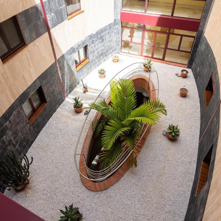 Apartment in Las Palmas near Playa de Las Canteras - Casa de vacaciones de 1 dormitorio - 24