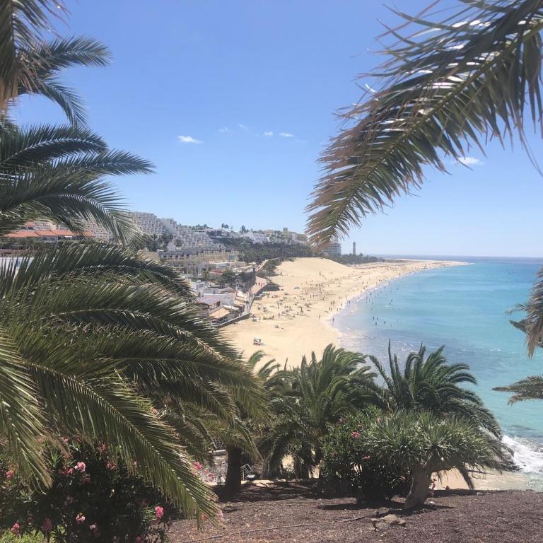 Apartment in Jandía near El Matorral Beach - Casa de vacaciones de 1 dormitorio - 25