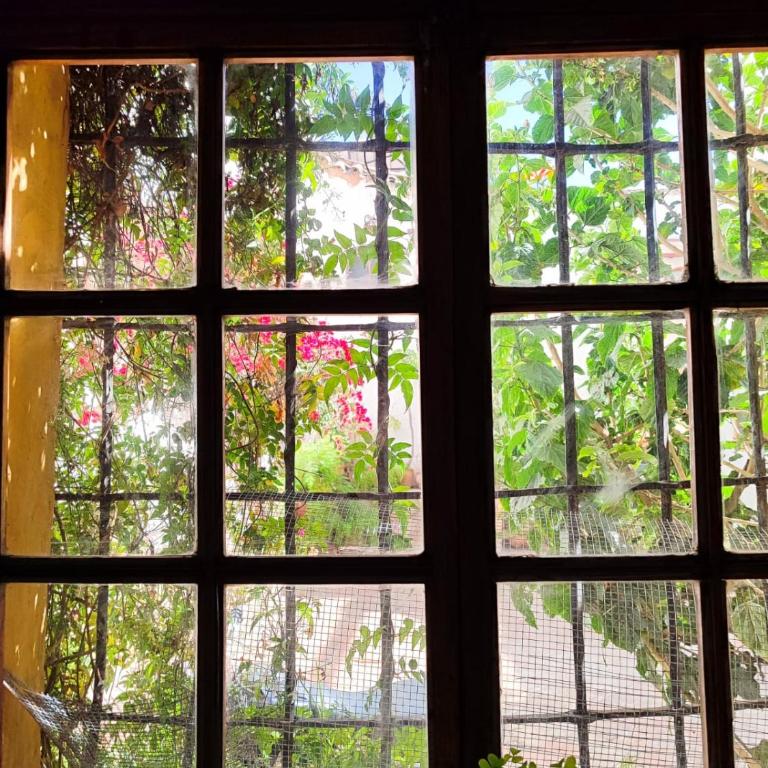 Casa Ramirez - Guest House - Apartamento - 2