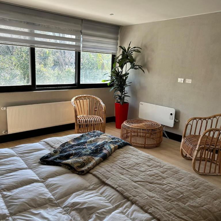 casa los paintores - Three-Bedroom Villa - 58