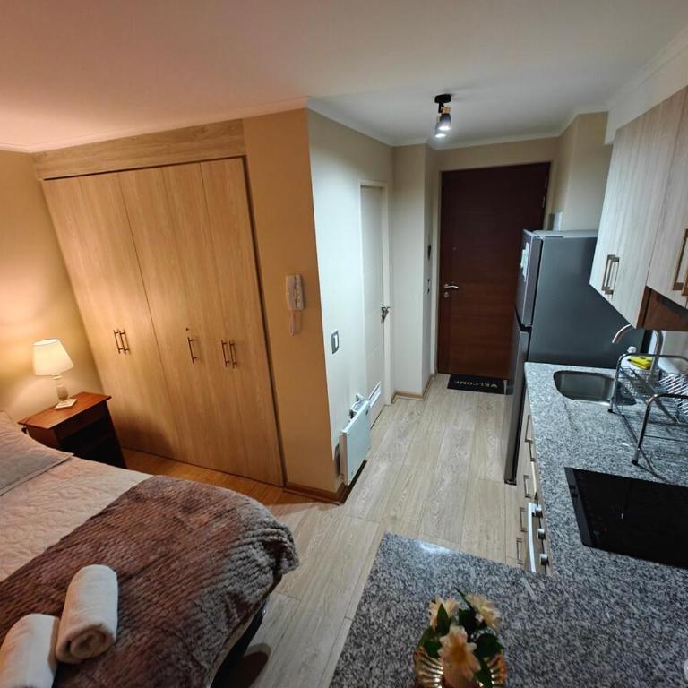 Depto centro 610 de chillan con estacionamiento - One-Bedroom Apartment - 11