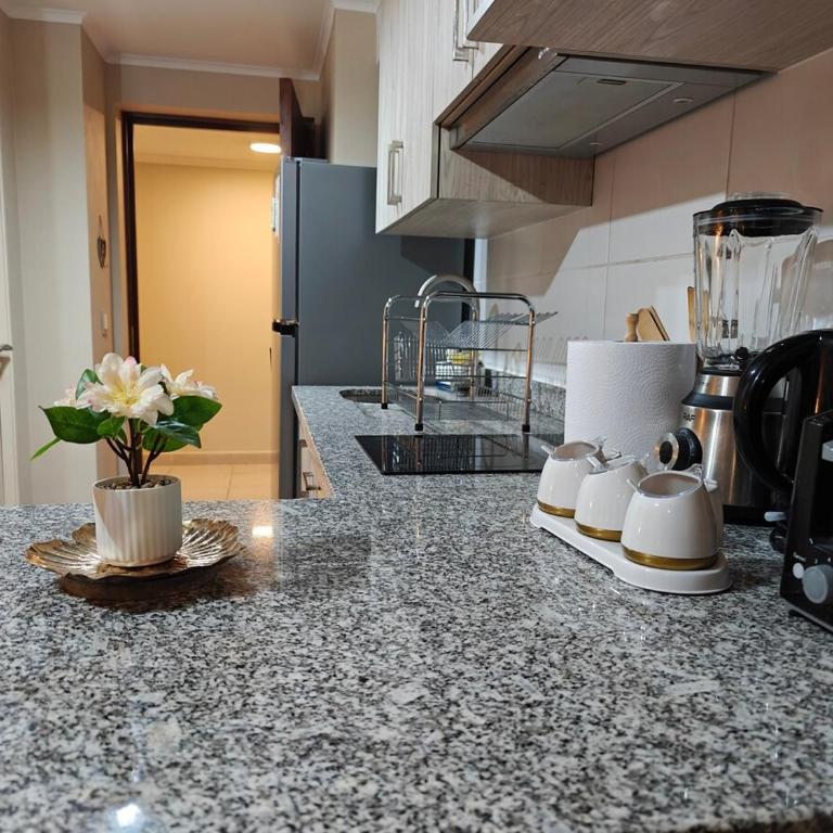 Depto centro 610 de chillan con estacionamiento - One-Bedroom Apartment - 6