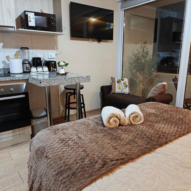 Depto centro 610 de chillan con estacionamiento - One-Bedroom Apartment - 4