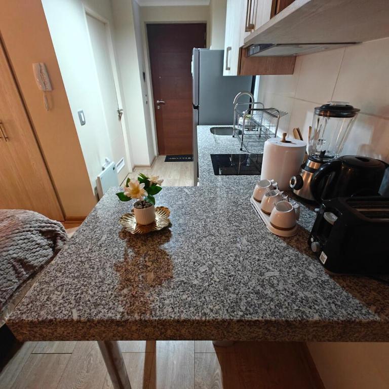 Depto centro 610 de chillan con estacionamiento - One-Bedroom Apartment - 5