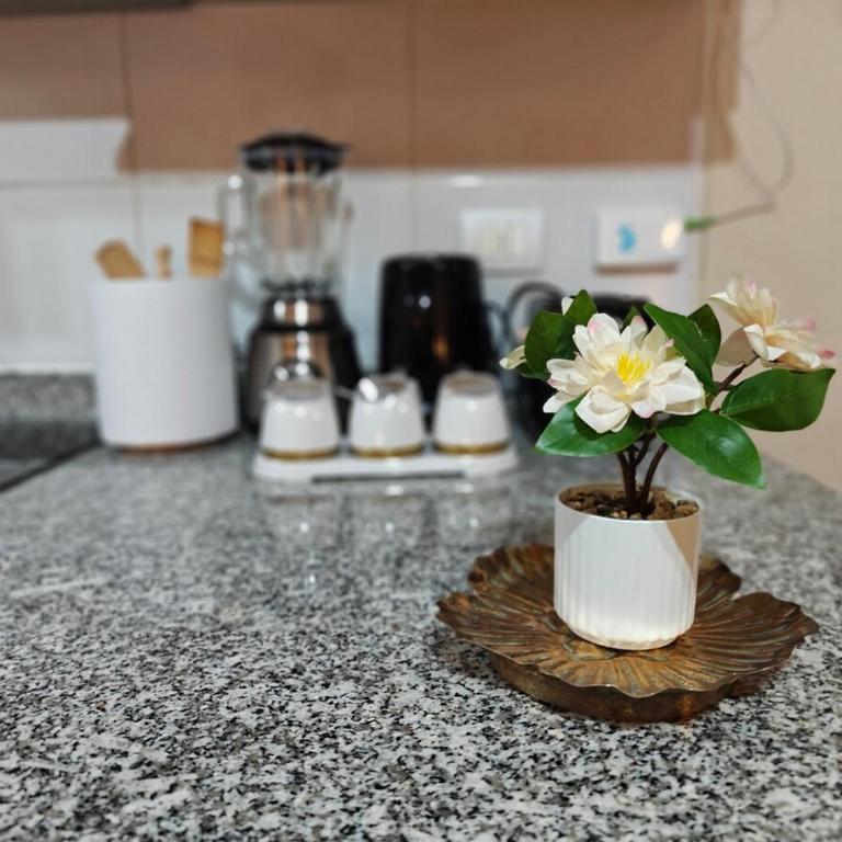 Depto centro 610 de chillan con estacionamiento - One-Bedroom Apartment - 7
